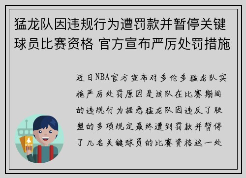 猛龙队因违规行为遭罚款并暂停关键球员比赛资格 官方宣布严厉处罚措施