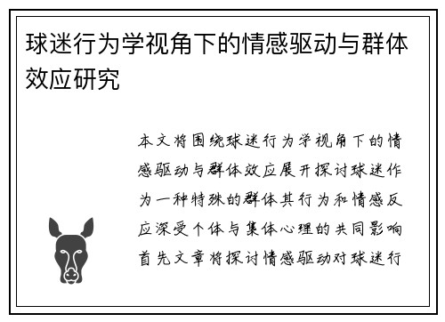 球迷行为学视角下的情感驱动与群体效应研究